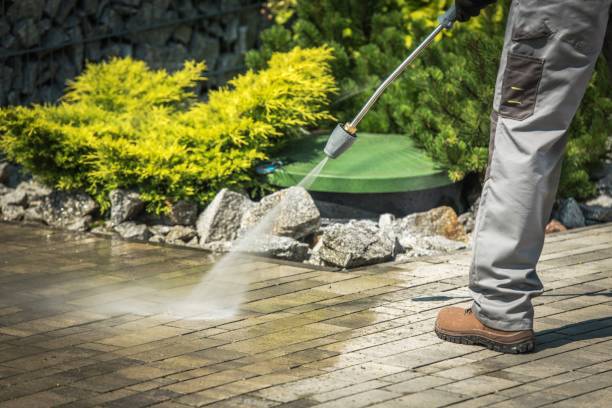 Best Pool Deck Cleaning  in Denison, TX