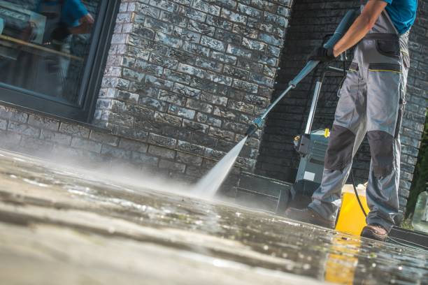 Best Roof Washing  in Denison, TX